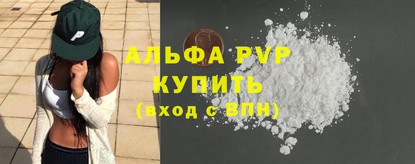 СК Бородино