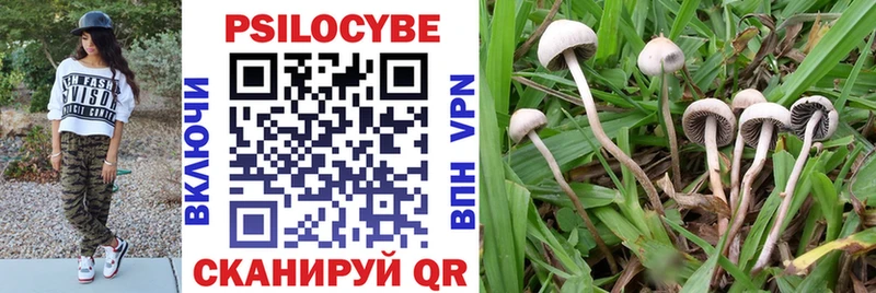 Галлюциногенные грибы ЛСД  Новосокольники 